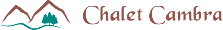 logo footer