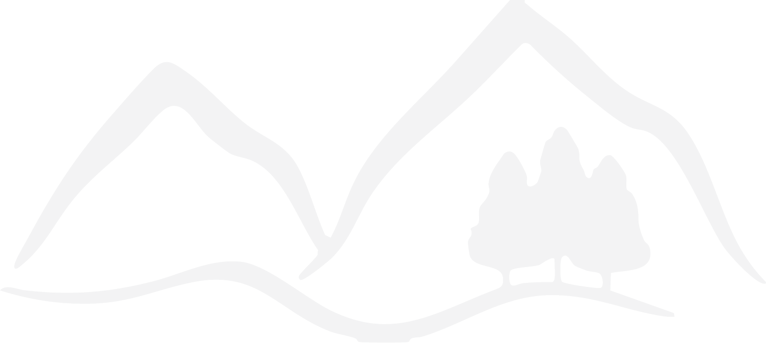 home logo