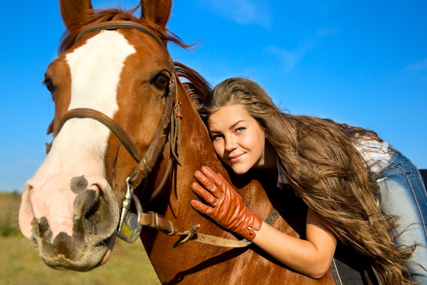 shutterstock equitazioneWEB