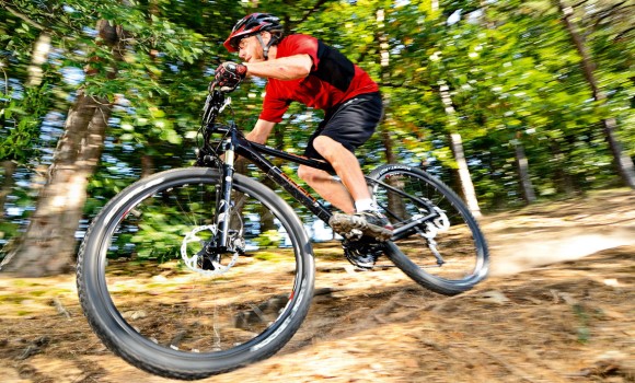 shutterstock mtbWEB